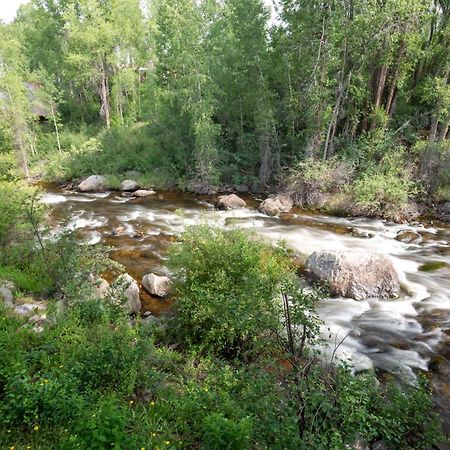 Designer 2 Bedroom On River With Pool - Walk To Town! Aspen Extérieur photo